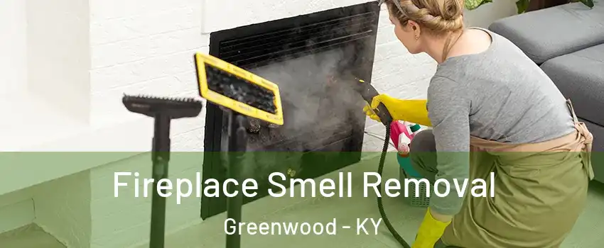 Fireplace Smell Removal Greenwood - KY