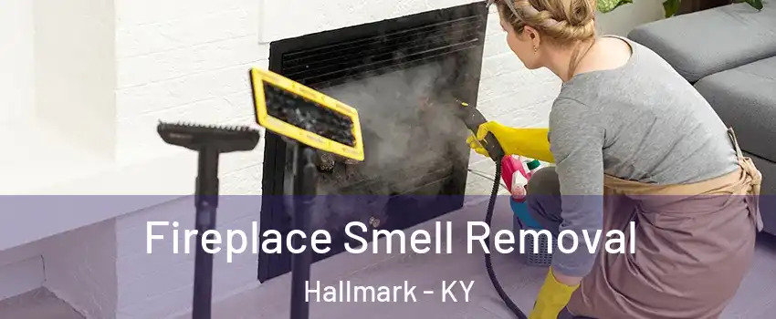 Fireplace Smell Removal Hallmark - KY