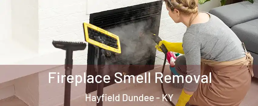 Fireplace Smell Removal Hayfield Dundee - KY