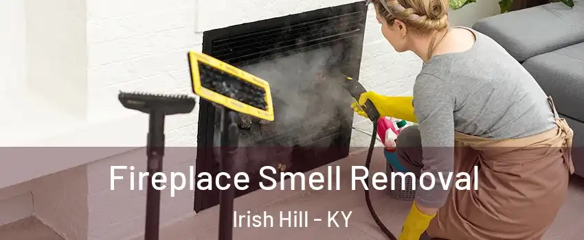 Fireplace Smell Removal Irish Hill - KY