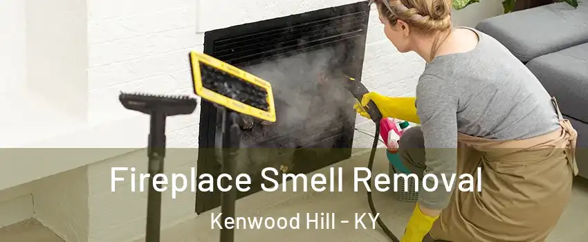 Fireplace Smell Removal Kenwood Hill - KY