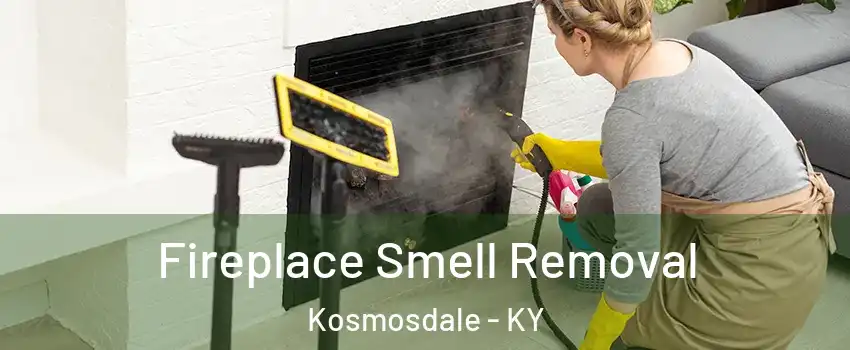 Fireplace Smell Removal Kosmosdale - KY