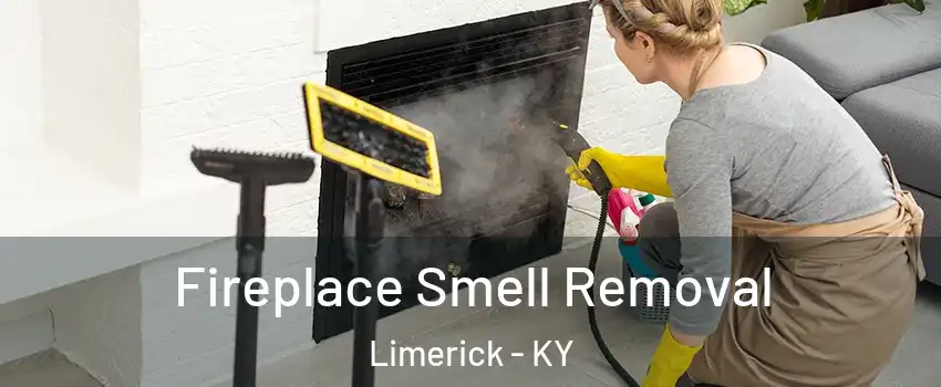 Fireplace Smell Removal Limerick - KY