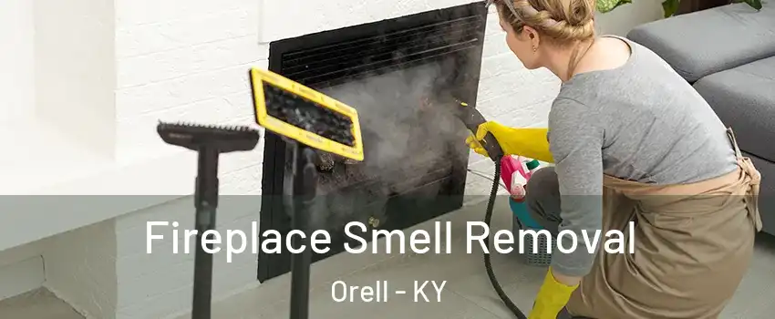 Fireplace Smell Removal Orell - KY