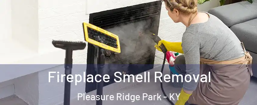 Fireplace Smell Removal Pleasure Ridge Park - KY