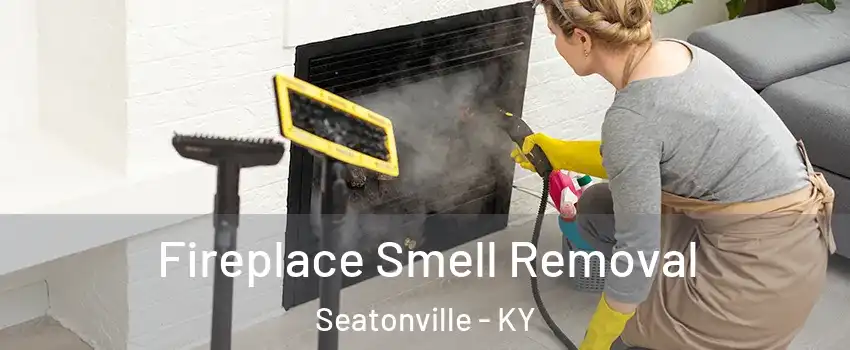 Fireplace Smell Removal Seatonville - KY