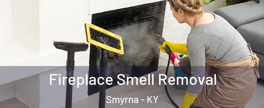 Fireplace Smell Removal Smyrna - KY