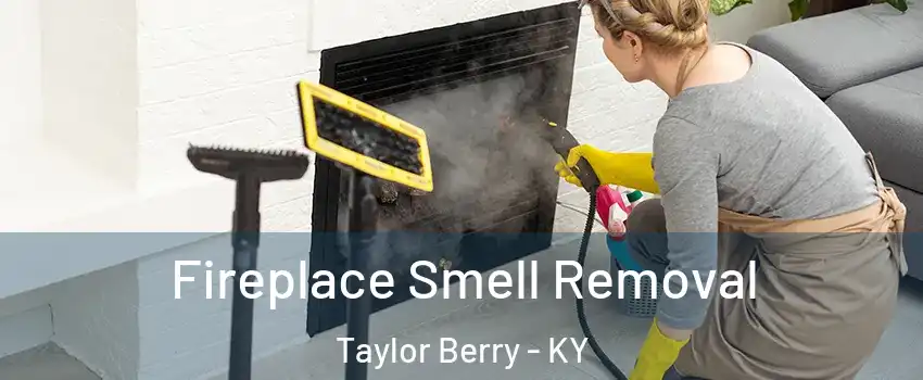 Fireplace Smell Removal Taylor Berry - KY