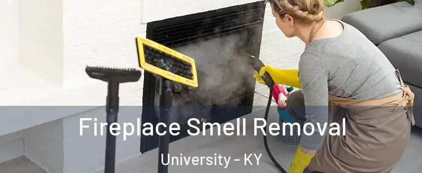 Fireplace Smell Removal University - KY