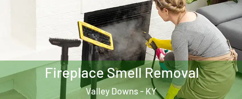 Fireplace Smell Removal Valley Downs - KY