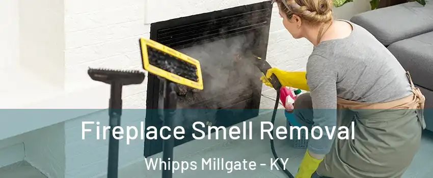 Fireplace Smell Removal Whipps Millgate - KY