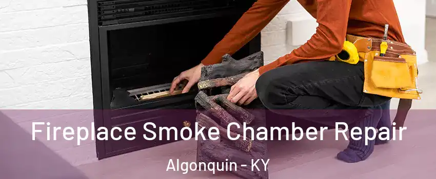 Fireplace Smoke Chamber Repair Algonquin - KY