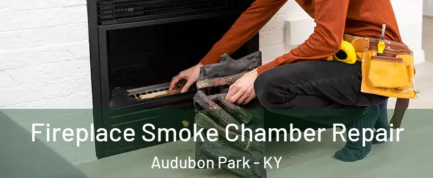 Fireplace Smoke Chamber Repair Audubon Park - KY