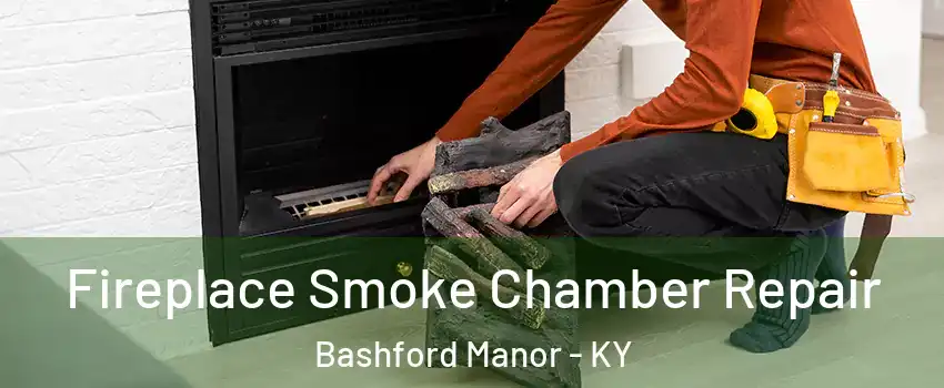 Fireplace Smoke Chamber Repair Bashford Manor - KY