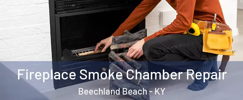 Fireplace Smoke Chamber Repair Beechland Beach - KY