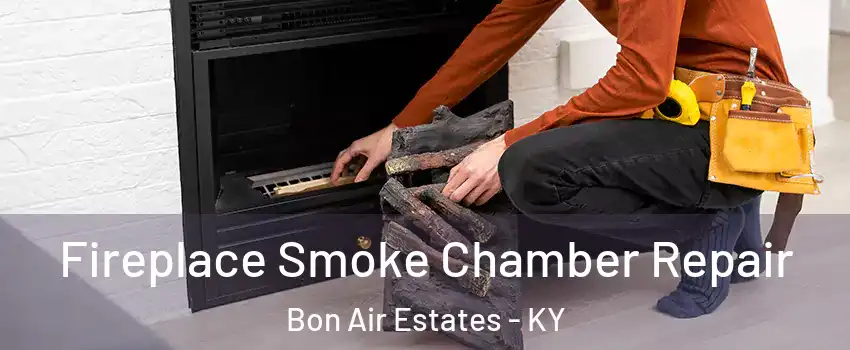 Fireplace Smoke Chamber Repair Bon Air Estates - KY