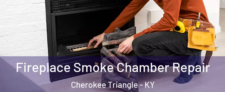 Fireplace Smoke Chamber Repair Cherokee Triangle - KY