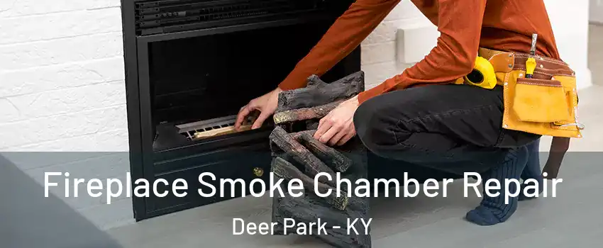 Fireplace Smoke Chamber Repair Deer Park - KY