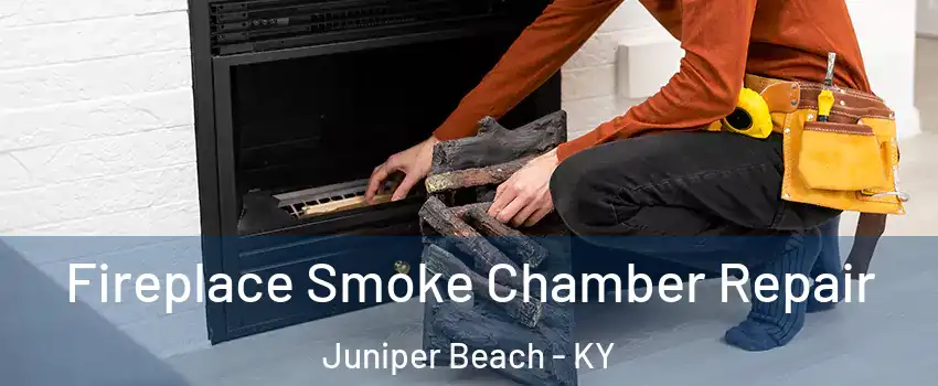 Fireplace Smoke Chamber Repair Juniper Beach - KY