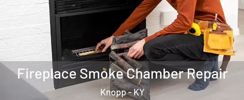 Fireplace Smoke Chamber Repair Knopp - KY