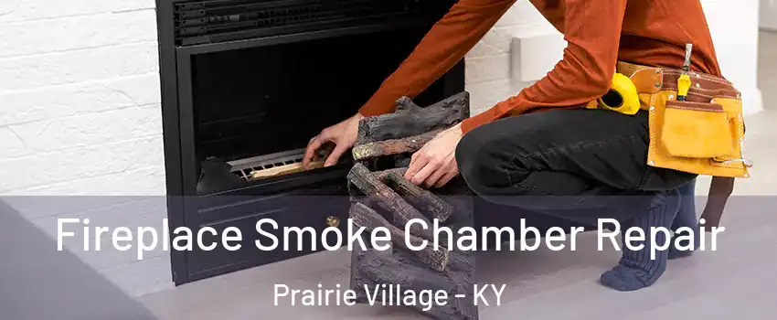 Fireplace Smoke Chamber Repair Prairie Village - KY