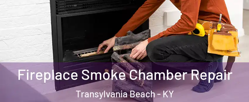 Fireplace Smoke Chamber Repair Transylvania Beach - KY