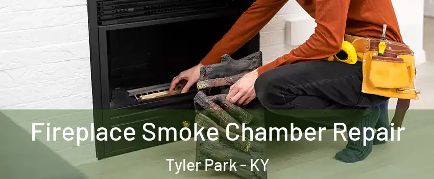 Fireplace Smoke Chamber Repair Tyler Park - KY