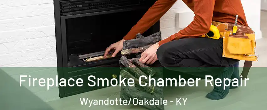 Fireplace Smoke Chamber Repair Wyandotte/Oakdale - KY