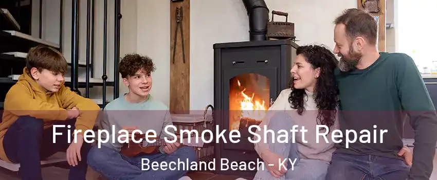 Fireplace Smoke Shaft Repair Beechland Beach - KY