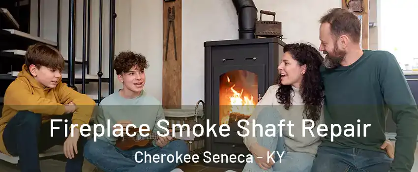 Fireplace Smoke Shaft Repair Cherokee Seneca - KY