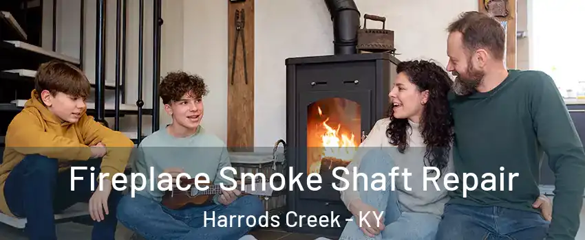 Fireplace Smoke Shaft Repair Harrods Creek - KY