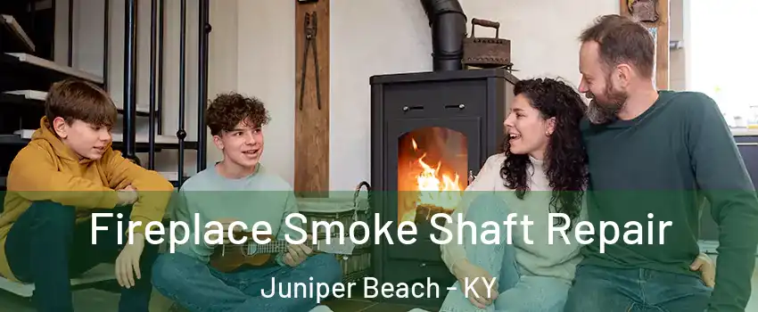 Fireplace Smoke Shaft Repair Juniper Beach - KY