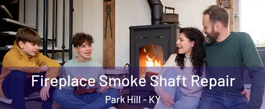 Fireplace Smoke Shaft Repair Park Hill - KY