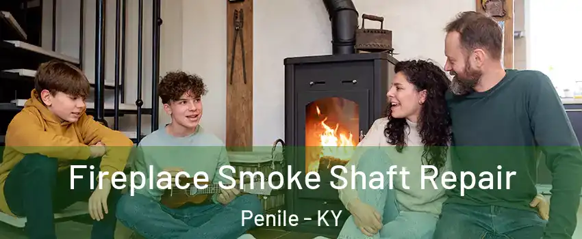 Fireplace Smoke Shaft Repair Penile - KY