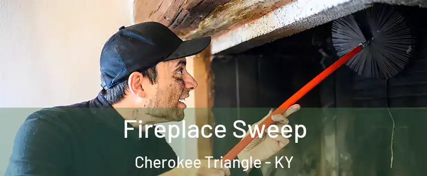 Fireplace Sweep Cherokee Triangle - KY