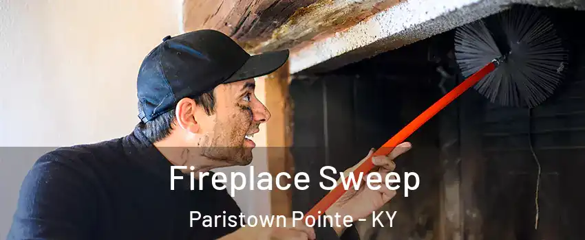 Fireplace Sweep Paristown Pointe - KY