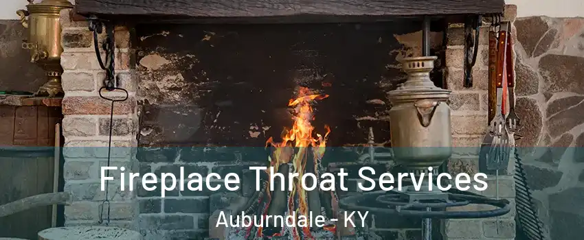 Fireplace Throat Services Auburndale - KY