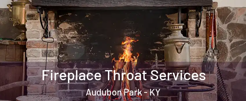 Fireplace Throat Services Audubon Park - KY