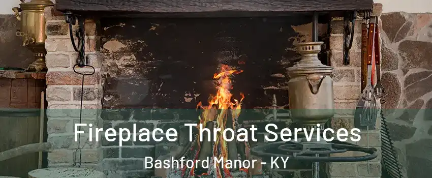 Fireplace Throat Services Bashford Manor - KY