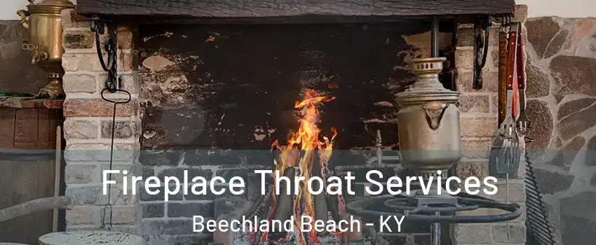 Fireplace Throat Services Beechland Beach - KY