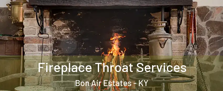 Fireplace Throat Services Bon Air Estates - KY