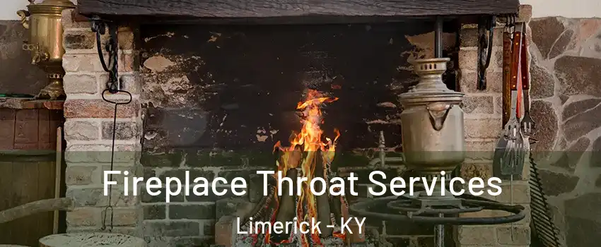 Fireplace Throat Services Limerick - KY