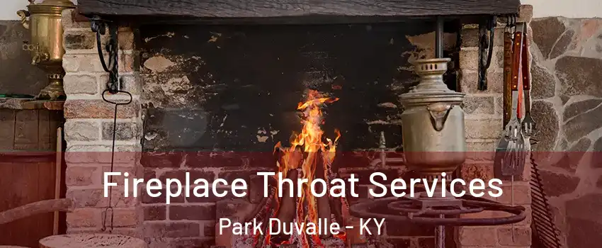 Fireplace Throat Services Park Duvalle - KY