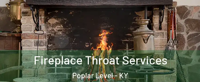 Fireplace Throat Services Poplar Level - KY