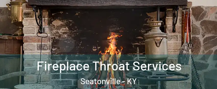 Fireplace Throat Services Seatonville - KY