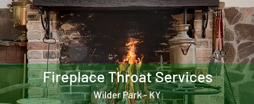 Fireplace Throat Services Wilder Park - KY