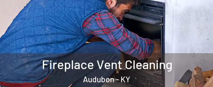 Fireplace Vent Cleaning Audubon - KY