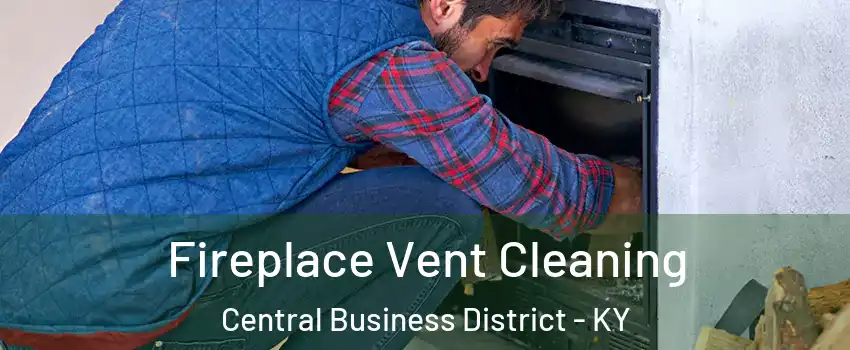 Fireplace Vent Cleaning Central Business District - KY