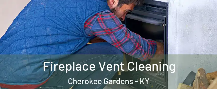 Fireplace Vent Cleaning Cherokee Gardens - KY