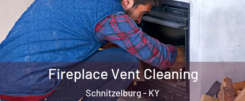 Fireplace Vent Cleaning Schnitzelburg - KY